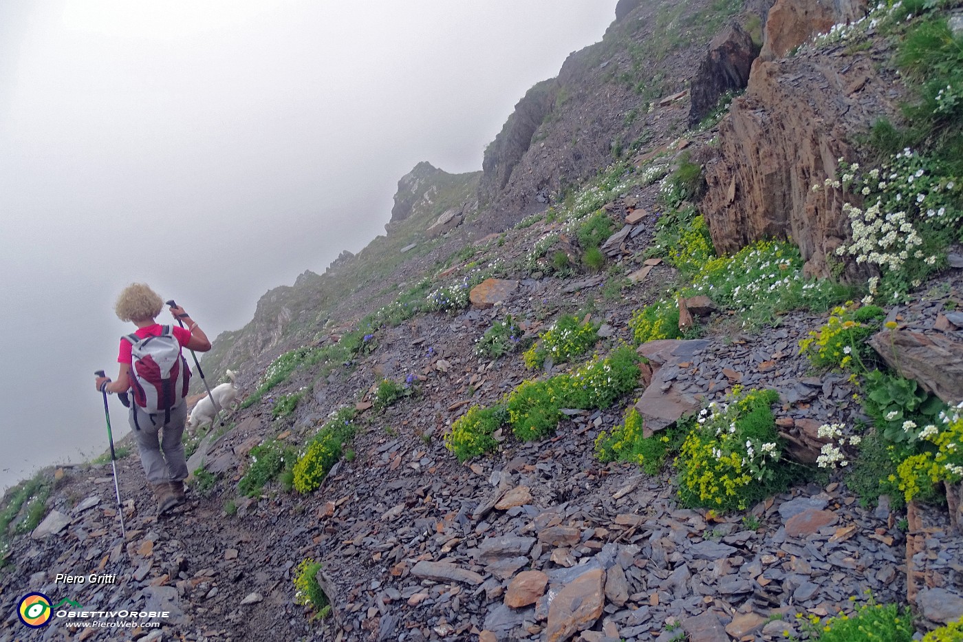 99 Scendiamo nella nebbia ma con i fiori !.JPG -                                